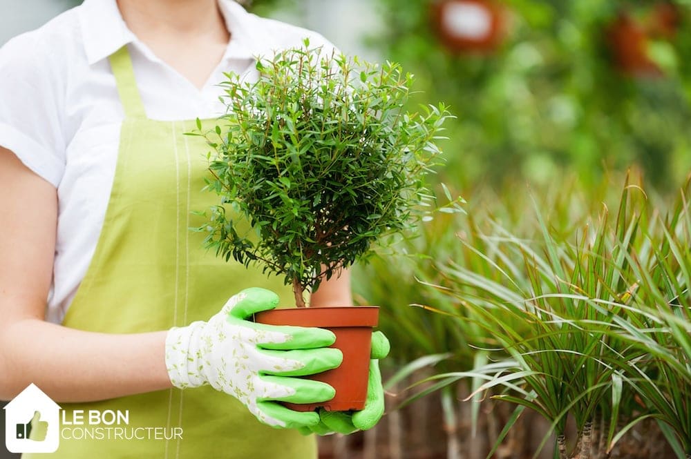 Créer son jardin avec l’aide d’un professionnel