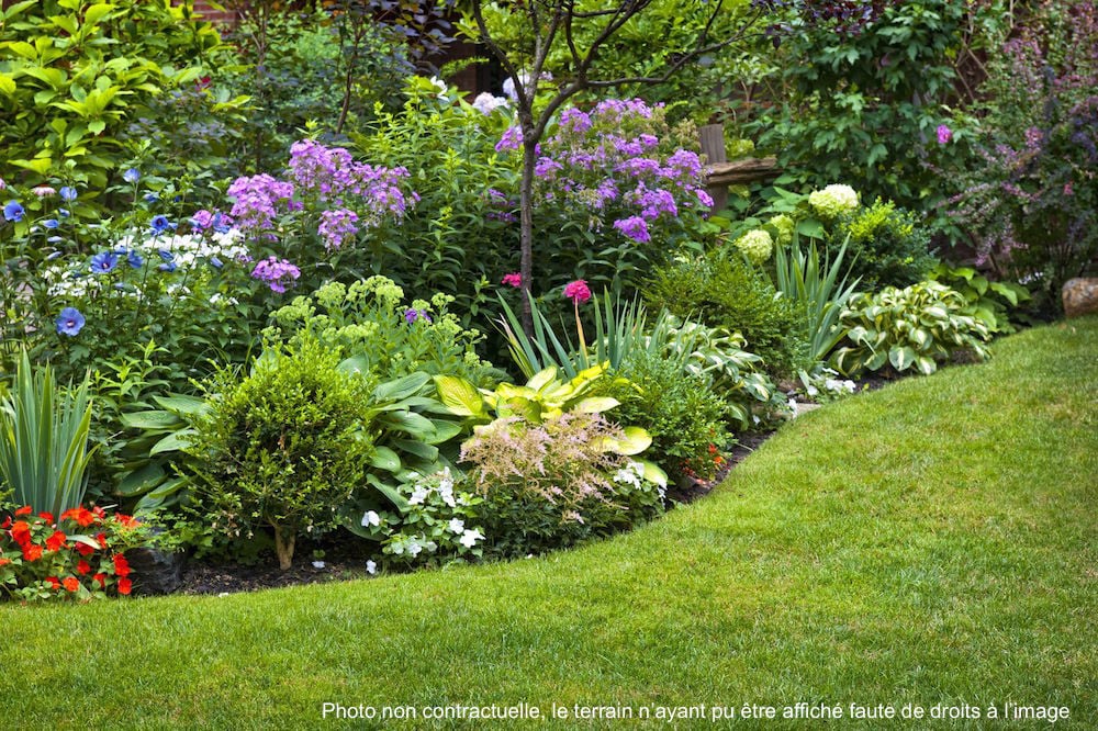 Créer son jardin avec l’aide d’un professionnel