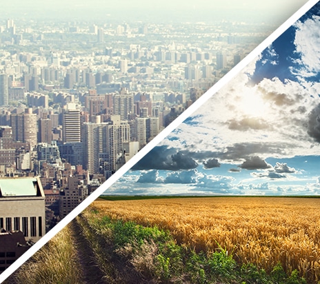 Trouver un terrain ! Trouver un terrain !