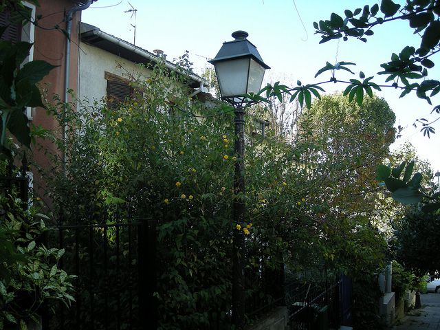 plantation jardin obligations légales